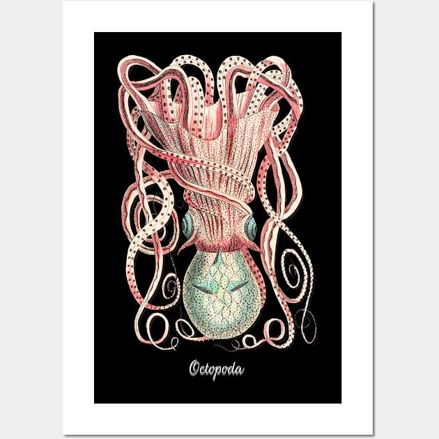 Vintage Octopus Wall Art by letnothingstopyou